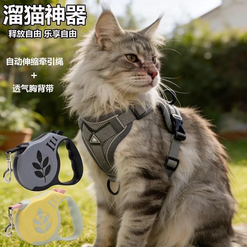 本周精选